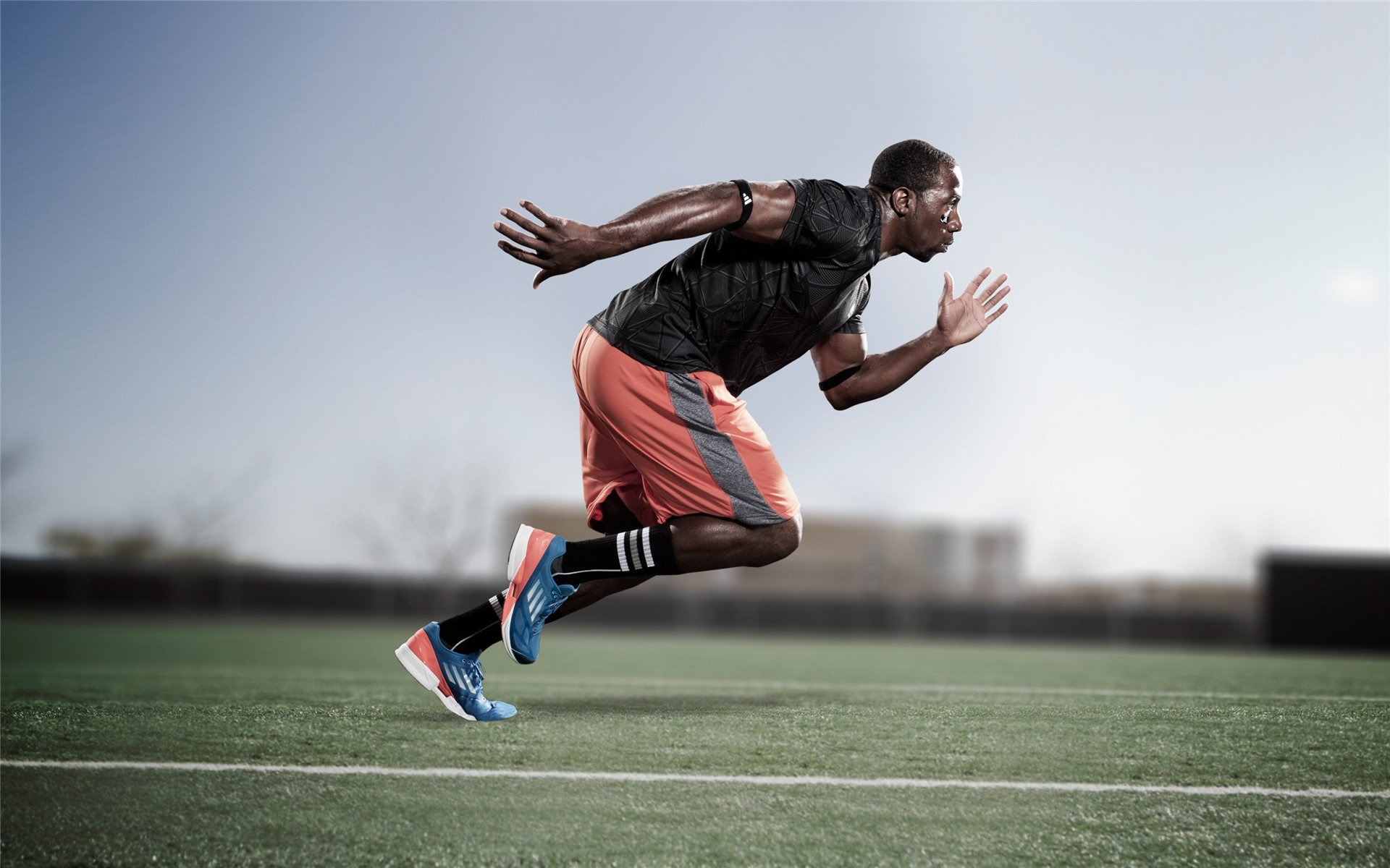 当武士蓝遭遇紫百合，一位乌拉圭人的樱花时刻